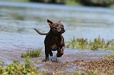 STAFFIE 172